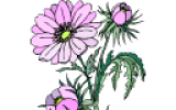 bloemenseance1.png