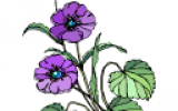 bloemenseance2.png